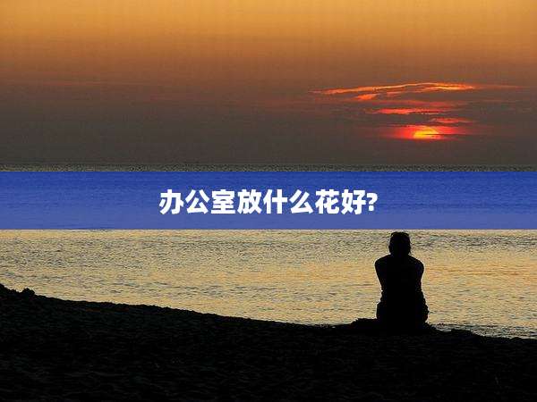 办公室放什么花好?