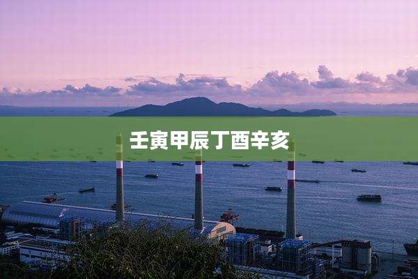 壬寅甲辰丁酉辛亥