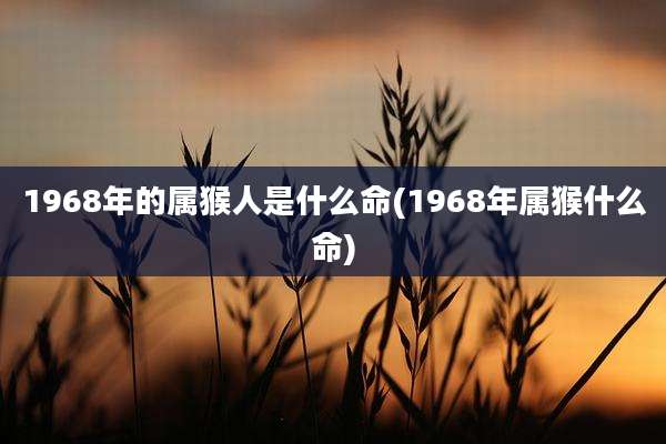 1968年的属猴人是什么命(1968年属猴什么命)