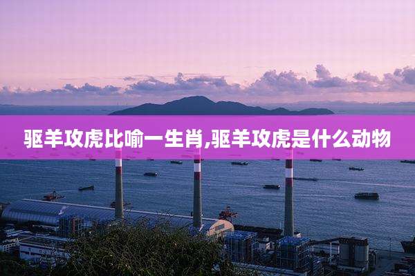 驱羊攻虎比喻一生肖,驱羊攻虎是什么动物
