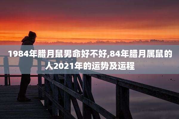 1984年腊月鼠男命好不好,84年腊月属鼠的人2021年的运势及运程