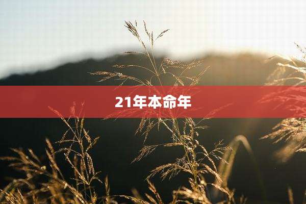 21年本命年