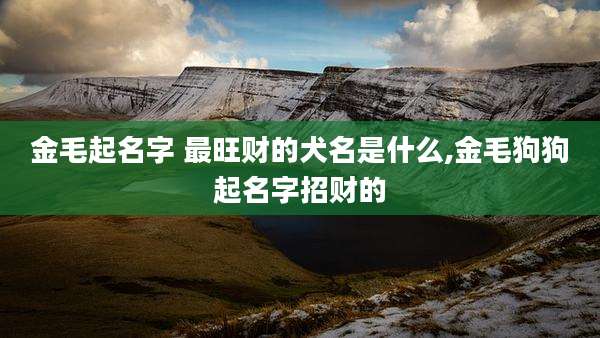 金毛起名字 最旺财的犬名是什么,金毛狗狗起名字招财的
