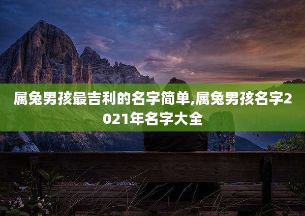 属兔男孩最吉利的名字简单,属兔男孩名字2021年名字大全