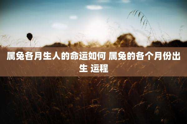 属兔各月生人的命运如何 属兔的各个月份出生 运程