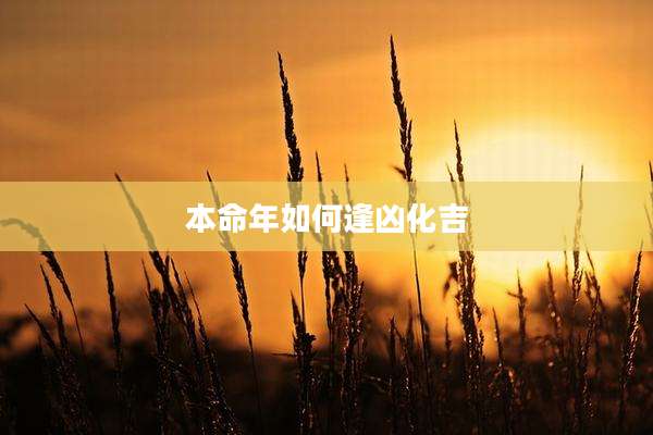 本命年如何逢凶化吉