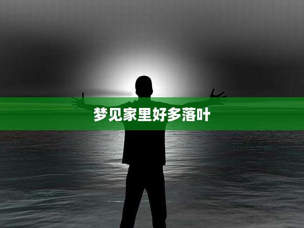 梦见家里好多落叶