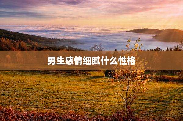 男生感情细腻什么性格