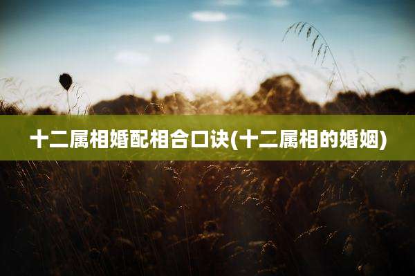 十二属相婚配相合口诀(十二属相的婚姻)