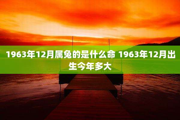 1963年12月属兔的是什么命 1963年12月出生今年多大