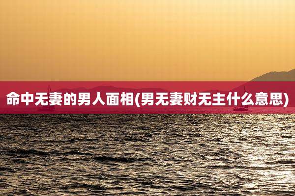 命中无妻的男人面相(男无妻财无主什么意思)
