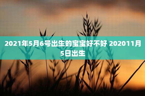 2021年5月6号出生的宝宝好不好 202011月5日出生