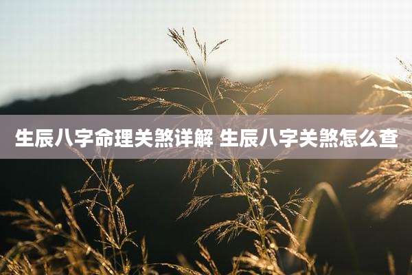 生辰八字命理关煞详解 生辰八字关煞怎么查
