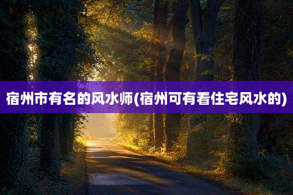 宿州市有名的风水师(宿州可有看住宅风水的)