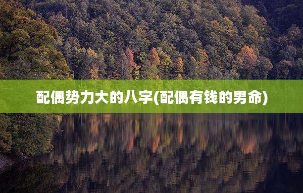配偶势力大的八字(配偶有钱的男命)
