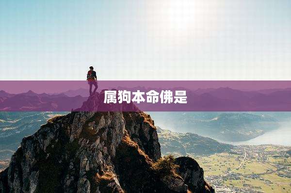 属狗本命佛是