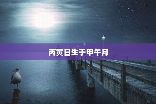 丙寅日生于甲午月