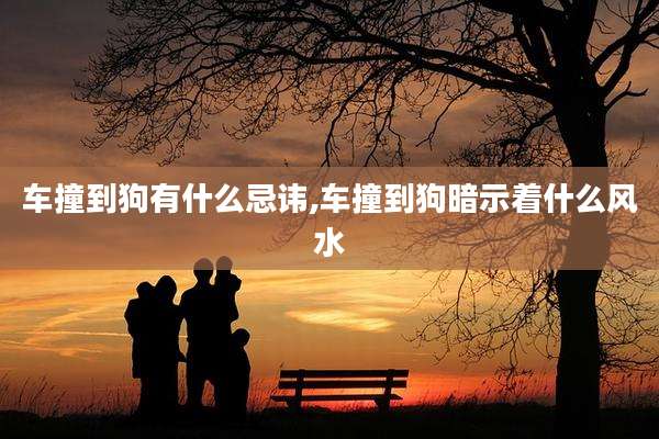 车撞到狗有什么忌讳,车撞到狗暗示着什么风水