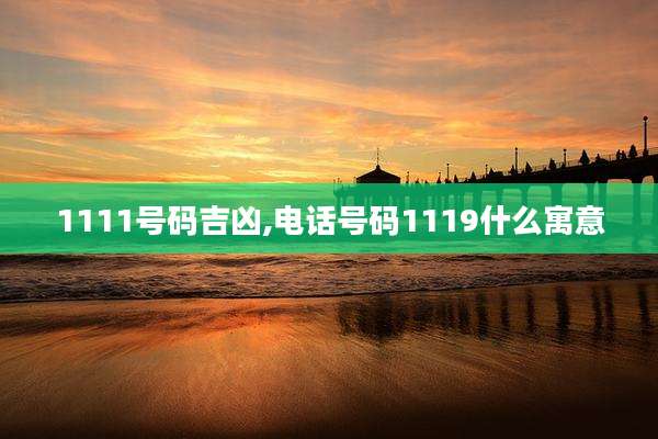 1111号码吉凶,电话号码1119什么寓意