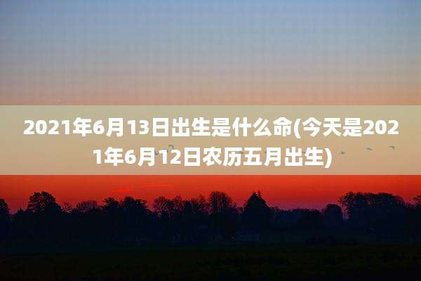 2021年6月13日出生是什么命(今天是2021年6月12日农历五月出生)
