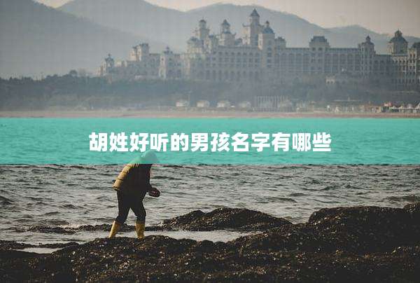 胡姓好听的男孩名字有哪些