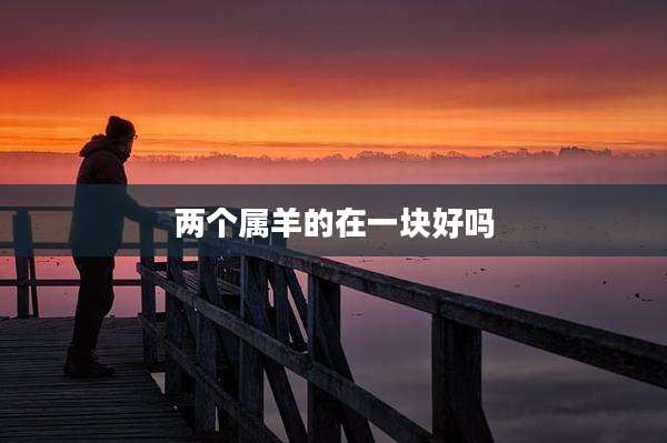 两个属羊的在一块好吗