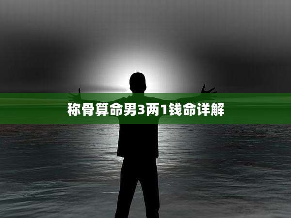 称骨算命男3两1钱命详解