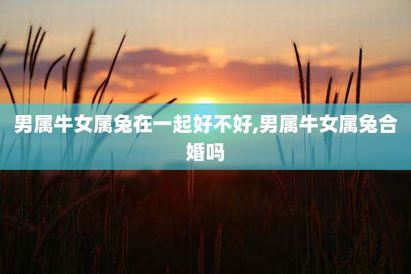 男属牛女属兔在一起好不好,男属牛女属兔合婚吗