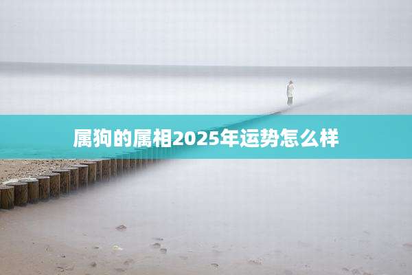 属狗的属相2025年运势怎么样