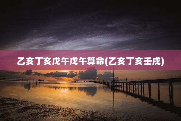 乙亥丁亥戊午戊午算命(乙亥丁亥壬戌)
