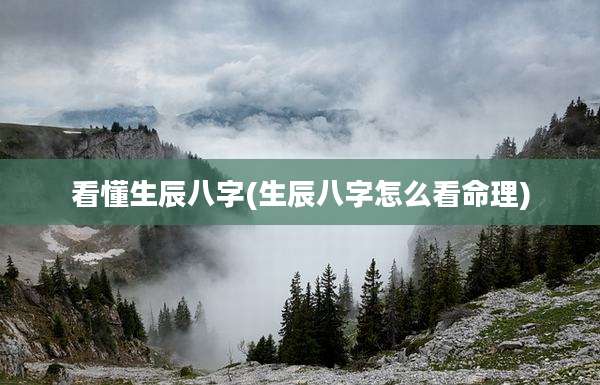 看懂生辰八字(生辰八字怎么看命理)