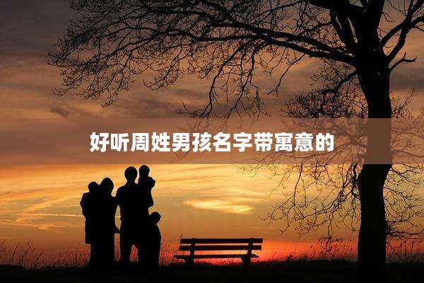 好听周姓男孩名字带寓意的