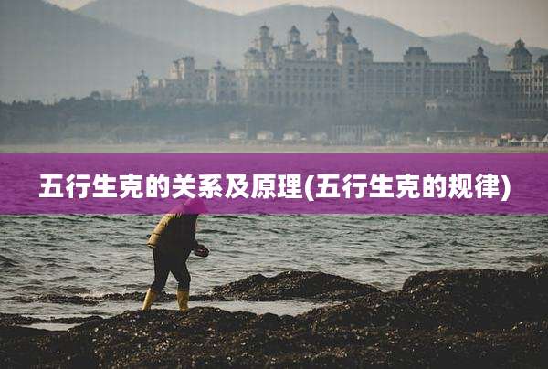 五行生克的关系及原理(五行生克的规律)