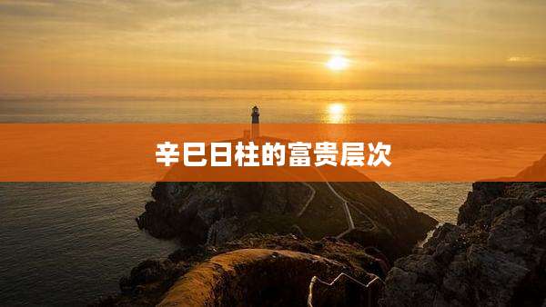 辛巳日柱的富贵层次