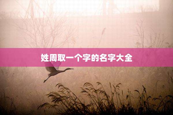 姓周取一个字的名字大全