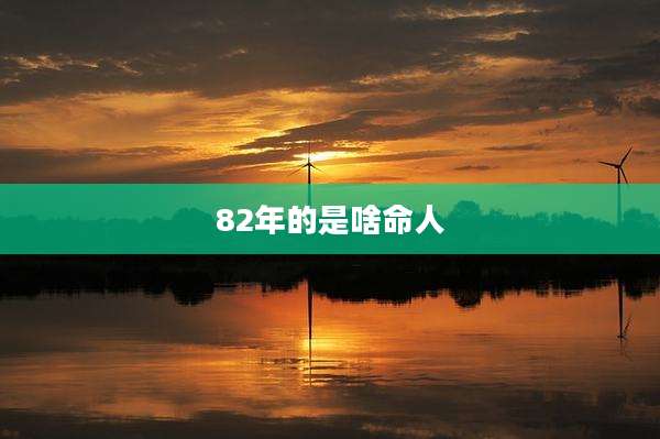 82年的是啥命人