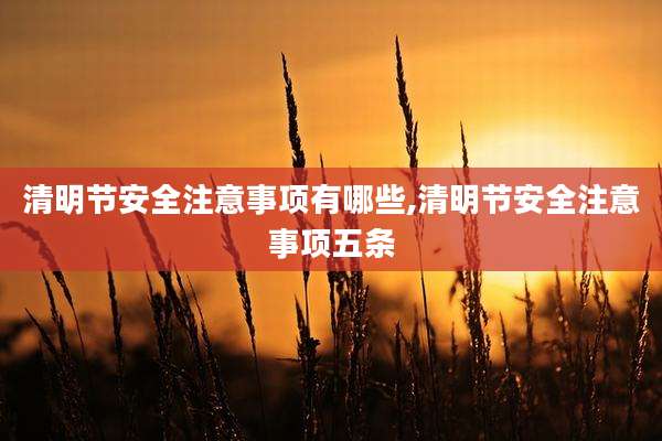 清明节安全注意事项有哪些,清明节安全注意事项五条