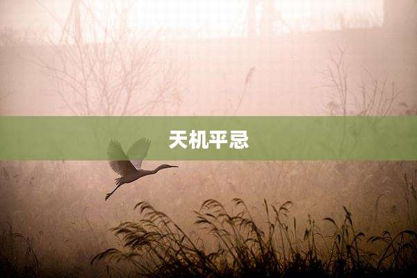 天机平忌