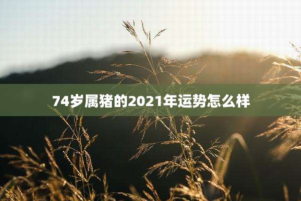 74岁属猪的2021年运势怎么样