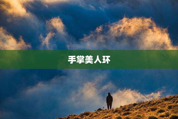 手掌美人环
