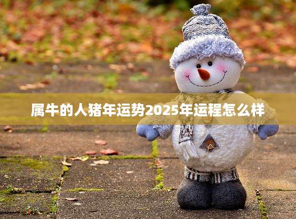 属牛的人猪年运势2025年运程怎么样