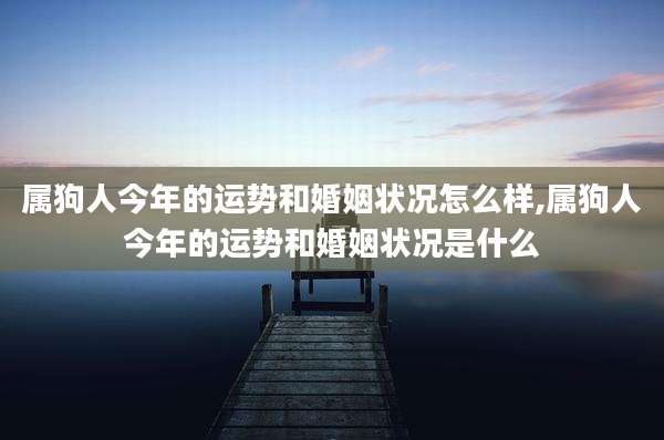 属狗人今年的运势和婚姻状况怎么样,属狗人今年的运势和婚姻状况是什么