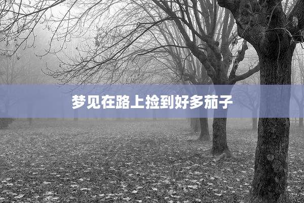 梦见在路上捡到好多茄子