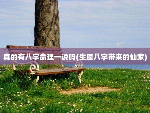 真的有八字命理一说吗(生辰八字带来的仙家)