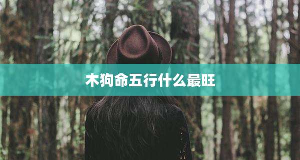 木狗命五行什么最旺