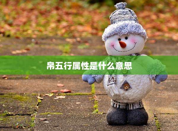 帛五行属性是什么意思