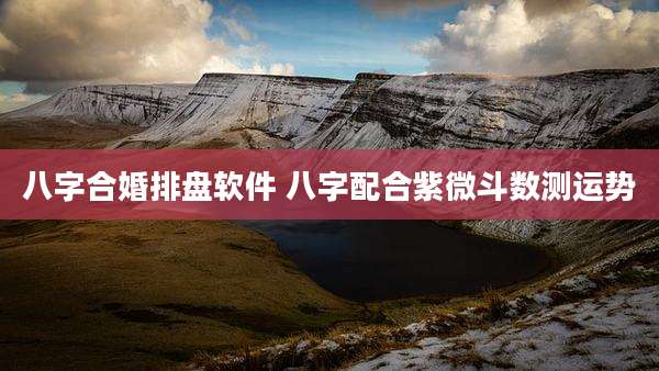 八字合婚排盘软件 八字配合紫微斗数测运势