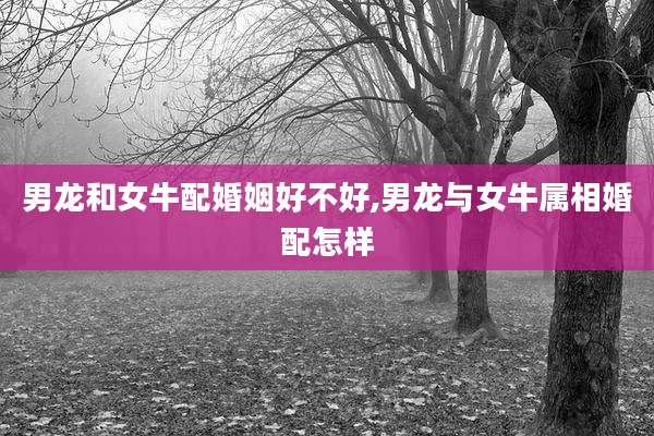男龙和女牛配婚姻好不好,男龙与女牛属相婚配怎样