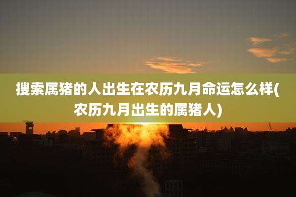搜索属猪的人出生在农历九月命运怎么样(农历九月出生的属猪人)