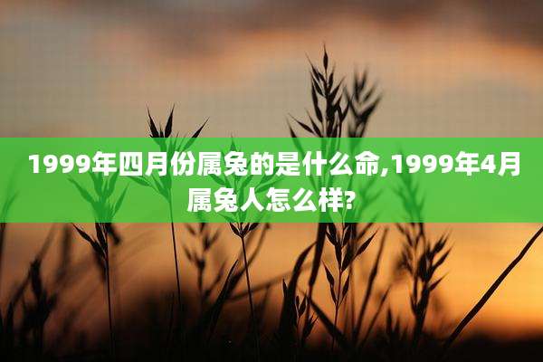 1999年四月份属兔的是什么命,1999年4月属兔人怎么样?